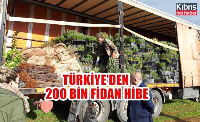 Türkiye'den  200 bin fidan hibe