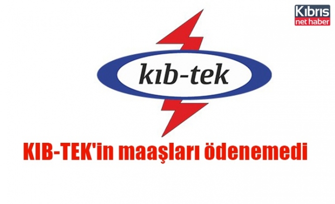 KIB-TEK'in maaşları ödenemedi