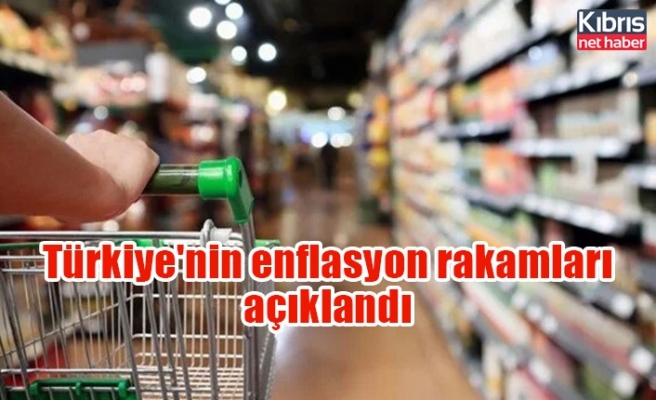 Türkiye'nin enflasyon rakamları açıklandı