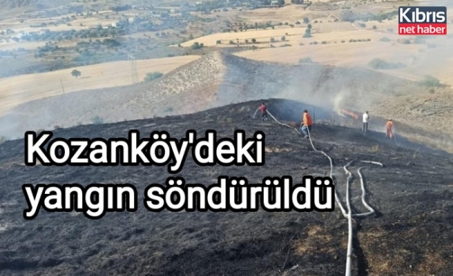 Kozanköy'deki yangın söndürüldü