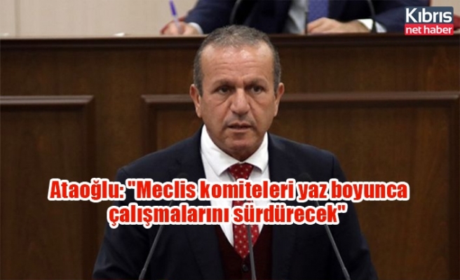 Ataoğlu: "Meclis komiteleri yaz boyunca çalışmalarını sürdürecek"