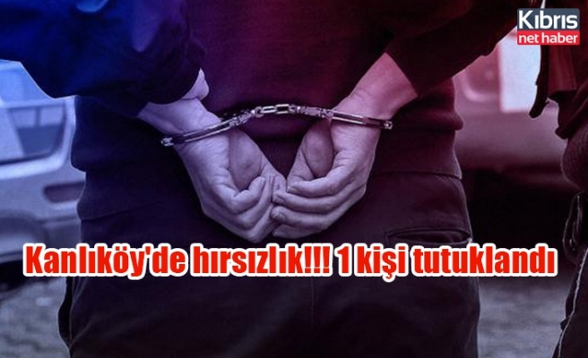 Kanlıköy'de hırsızlık!!! 1 kişi tutuklandı