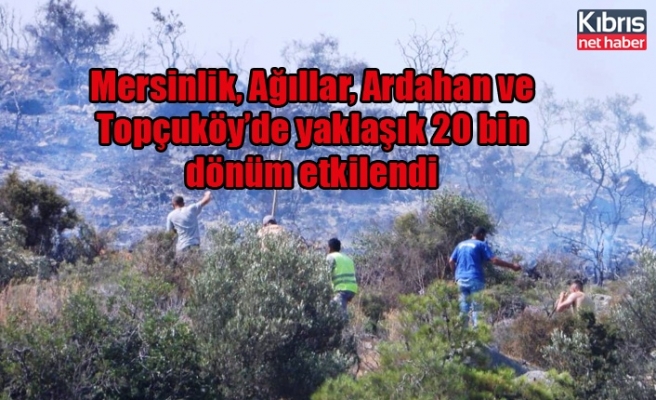 Mersinlik, Ağıllar, Ardahan ve Topçuköy’de yaklaşık 20 bin dönüm etkilendi