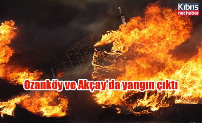 Ozanköy ve Akçay'da yangın çıktı