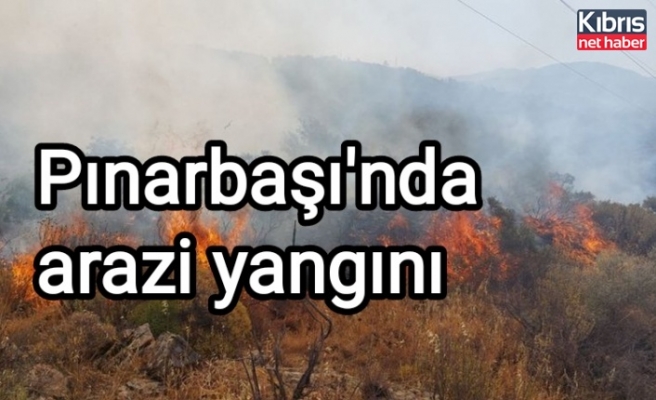 Pınarbaşı'nda arazi yangını