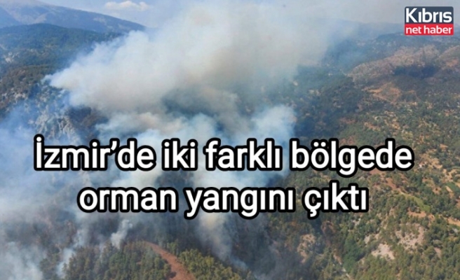 İzmir’de iki farklı bölgede orman yangını çıktı