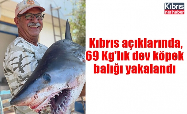 Kıbrıs Açıklarında, 69 Kg'lık dev köpek balığı yakalandı
