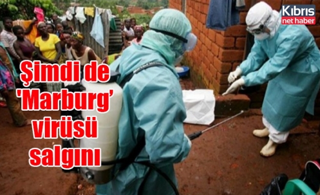Şimdi de 'Marburg’ virüsü salgını