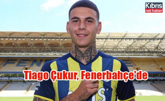 Tiago Çukur, Fenerbahçe'de