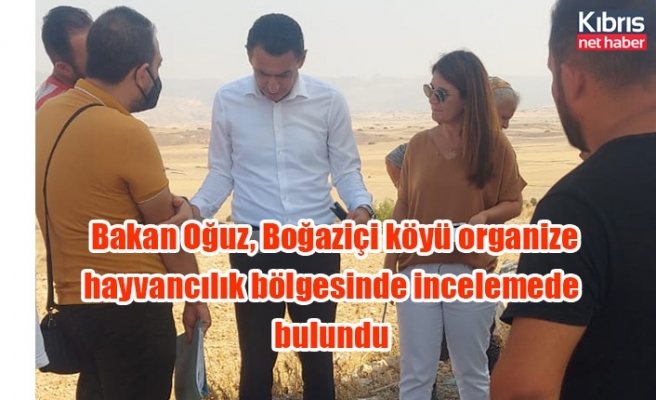 Bakan Oğuz, Boğaziçi köyü organize hayvancılık bölgesinde incelemede bulundu
