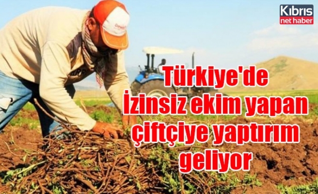 Türkiye'de İzinsiz ekim yapan çiftçiye yaptırım geliyor