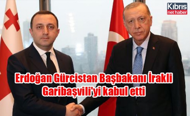 Erdoğan Gürcistan Başbakanı İrakli Garibaşvili'yi kabul etti