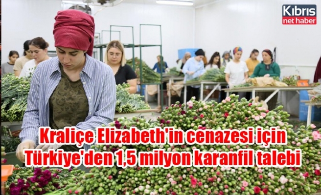 Kraliçe Elizabeth'in cenazesi için Türkiye'den 1,5 milyon karanfil talebi