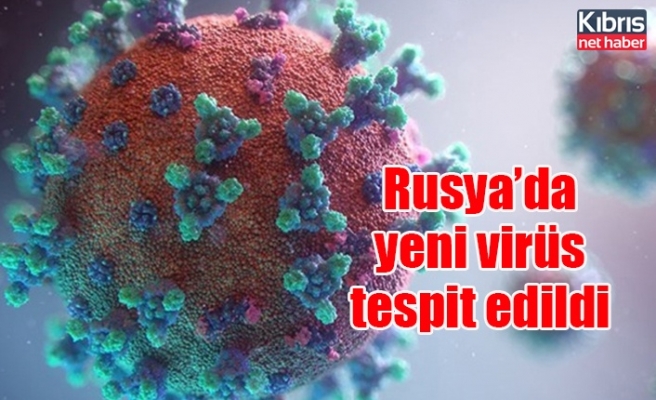 Rusya’da yeni virüs tespit edildi