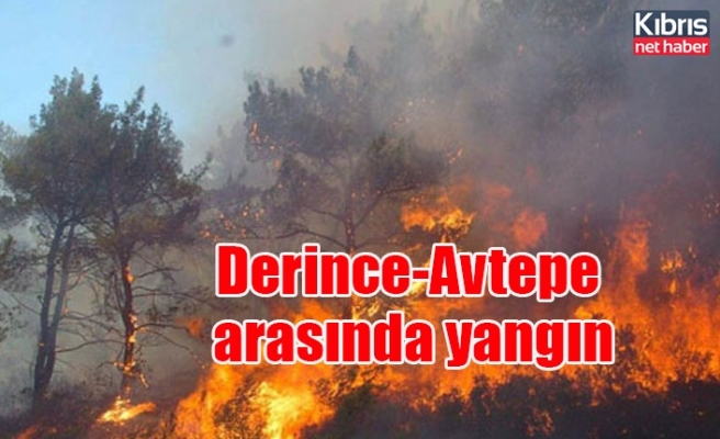 Derince-Avtepe arasında yangın