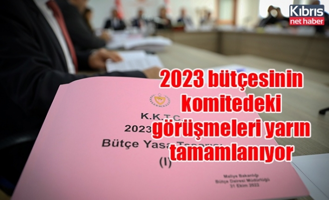 2023 bütçesinin komitedeki görüşmeleri yarın tamamlanıyor