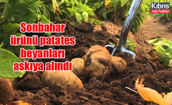 Sonbahar ürünü patates beyanları askıya alındı