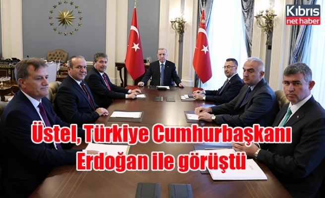 Üstel, Türkiye Cumhurbaşkanı Erdoğan ile görüştü