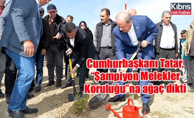 Cumhurbaşkanı Tatar, “Şampiyon Melekler Koruluğu”na ağaç dikti