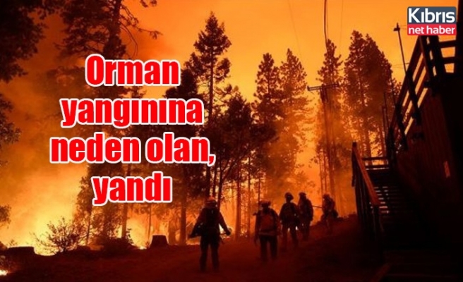 Orman yangınına neden olmanın cezası 100 asgari ücret ve 15 yıl hapis cezası