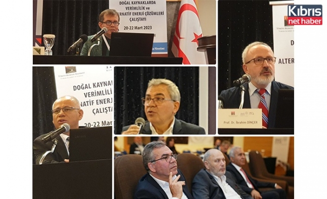 DAÜ Türkiye Bilimler Akademisi Çalıştayında temsil edildi