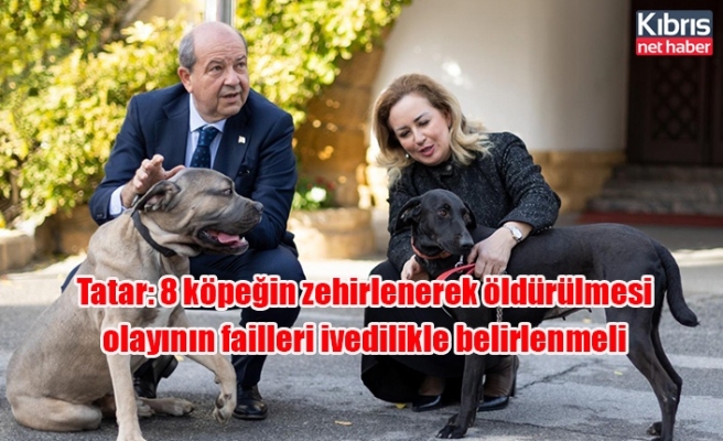 Tatar: 8 köpeğin zehirlenerek öldürülmesi olayının failleri ivedilikle belirlenmeli