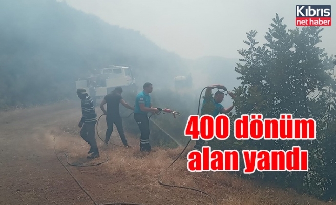 400 dönüm alan yandı