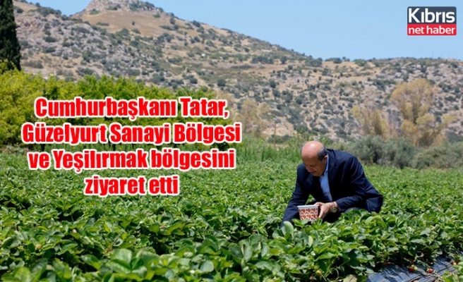 Cumhurbaşkanı Tatar, Güzelyurt Sanayi Bölgesi ve Yeşilırmak bölgesini ziyaret etti