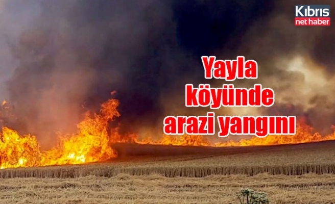 Yayla köyünde arazi yangını