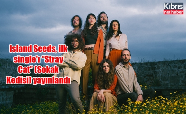 Island Seeds, ilk single'ı “Stray Cat” (Sokak Kedisi) yayınlandı