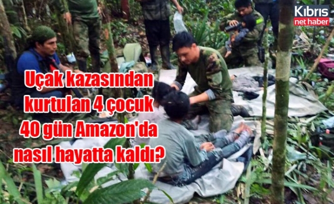 Uçak kazasından kurtulan 4 çocuk 40 gün Amazon'da nasıl hayatta kaldı?