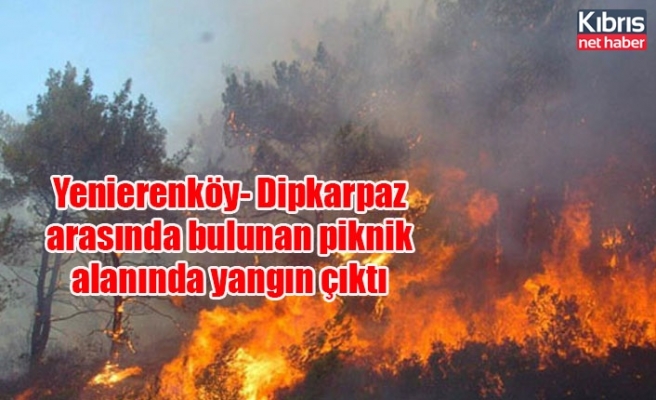 Yenierenköy- Dipkarpaz arasında bulunan piknik alanında yangın çıktı