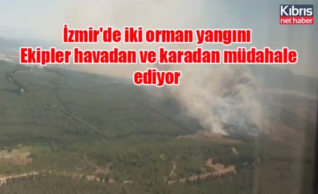 İzmir'de iki orman yangını: Ekipler havadan ve karadan müdahale ediyor