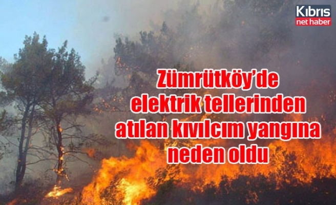 Zümrütköy’de elektrik tellerinden atılan kıvılcım yangına neden oldu