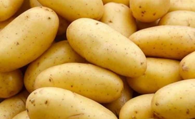 Tarım Bakanlığından patates üreticilerine ekimle ilgili tavsiyeler