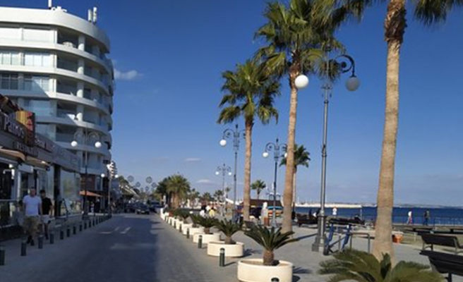 Larnaka sahilindeki palmiye ağaçları vandallık kurbanı