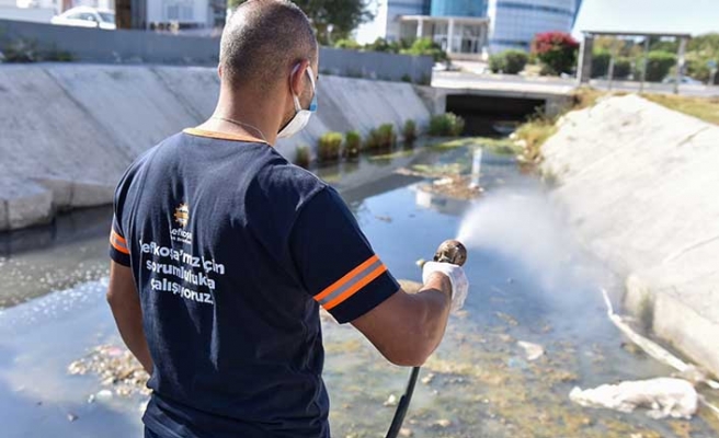 LTB, sivrisineklerle mücadelede WALS metodunu uygulamaya devam ediyor