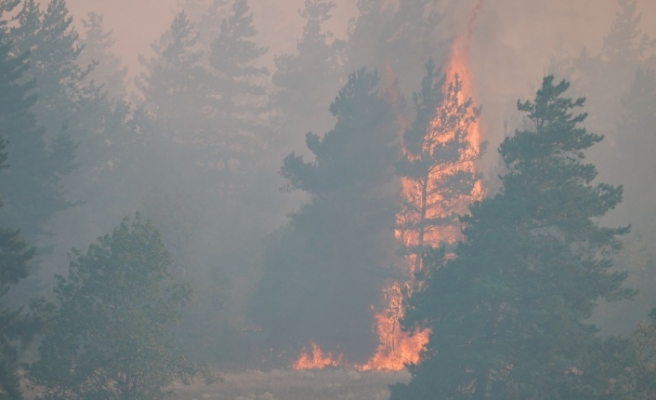 Orman Dairesi Müdürlüğü, yangın tehlikesine karşı kurallara ve alınması gereken önlemlere dikkat çekti