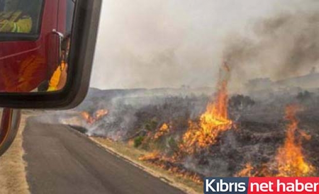 Güney Kıbrıs’ta üç ayrı bölgede yangın!
