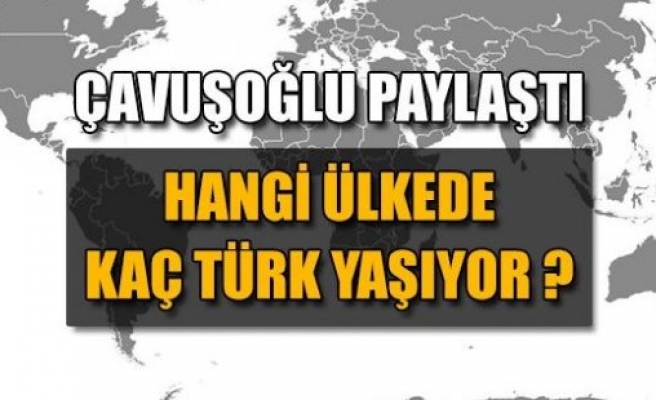 Hangi ülkede kaç Türk vatandaşı yaşıyor? 