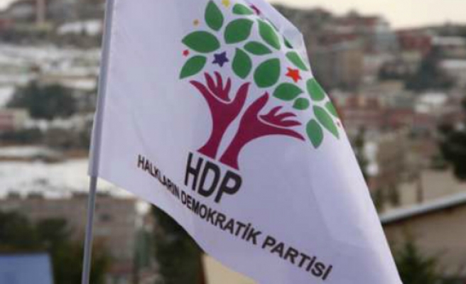 HDP'nin eş başkan adayı belli oldu!
