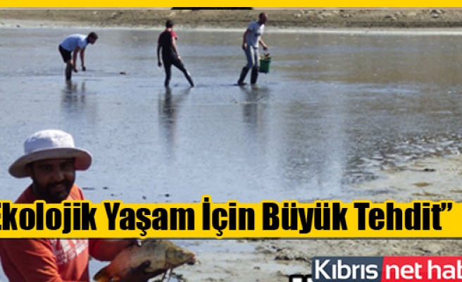 Kanlıköy'den 8 bin balık kurtarıldı