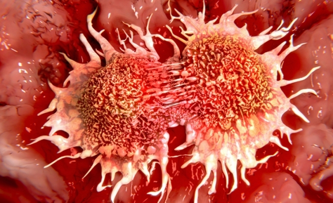 Kanser bilimle dalga geciyor