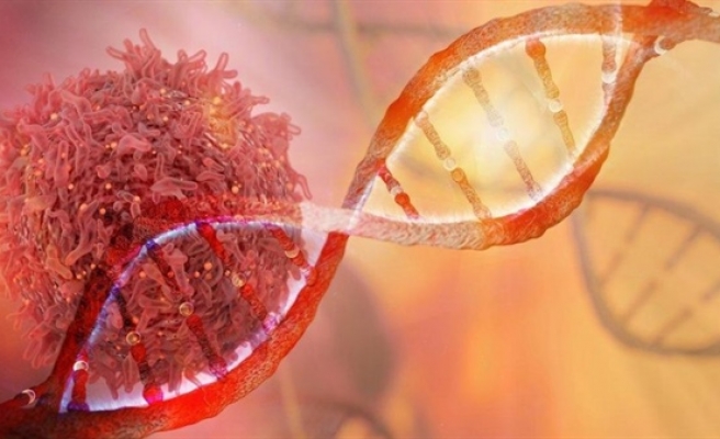 Kanserin DNA'daki Parmak İzini Arıyorlar