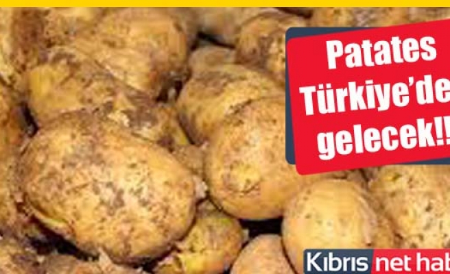 Tarım Bakanlığı Açıkladı: Ucuz Patates Geliyor