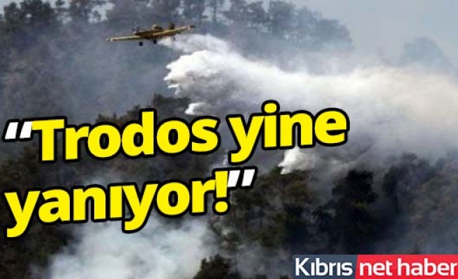 Trodos'ta yeniden yangın çıktı!.. 