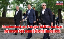 Cumhurbaşkanı Erdoğan ABD'de faaliyet gösteren STK temsilcilerini kabul etti
