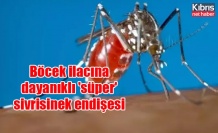 Böcek ilacına dayanıklı 'süper' sivrisinek endişesi