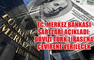 TC. Merkez Bankası şartları açıkladı: Dövizi...