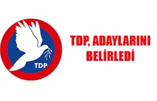 TDP, adaylarını belirledi